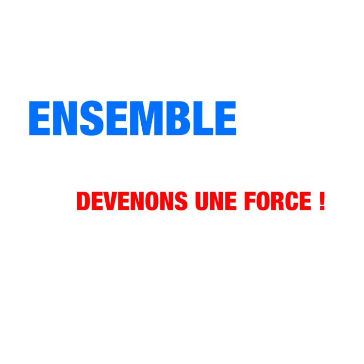 il est écrit sur l'image, Ensemble devenons une force, en bleu Ensemble et en rouge devenons une force, sur un fond blanc, nous le peuple nous la France