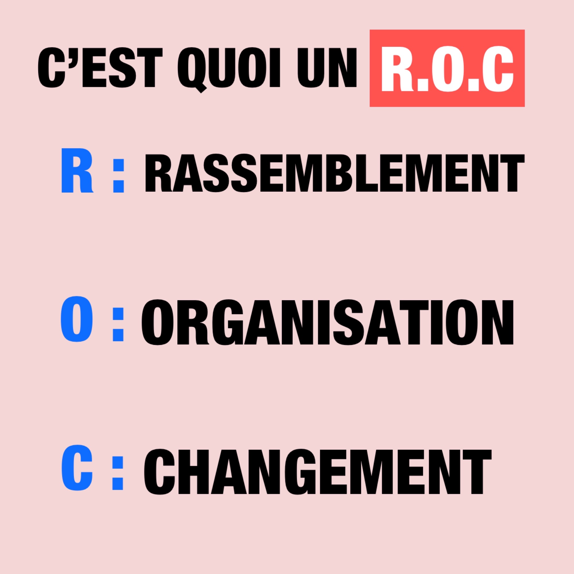 nous le peuple nous la france - Nous le Peuple Nous la France - nous le peuple nous la france/roc - Nous le Peuple Nous la France/roc